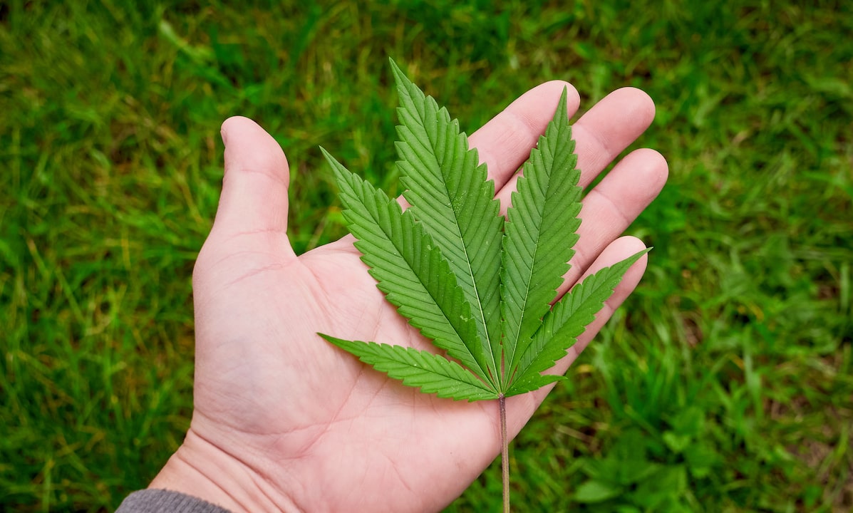 temp_indica