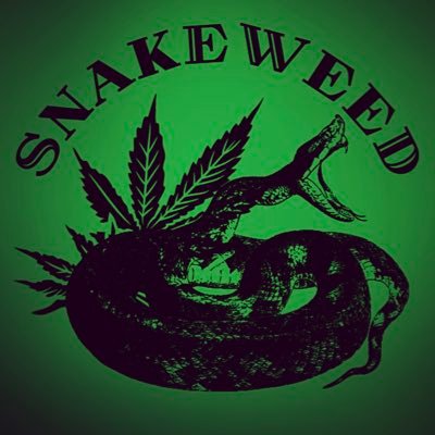 SNAKE WEED