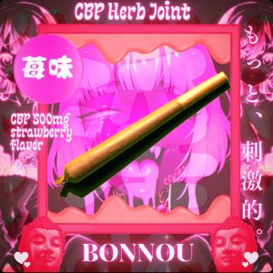 苺ジョイント〜淫〜